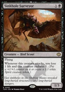 Sinkhole Surveyor